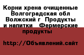 Корни хрена очищенные - Волгоградская обл., Волжский г. Продукты и напитки » Фермерские продукты   